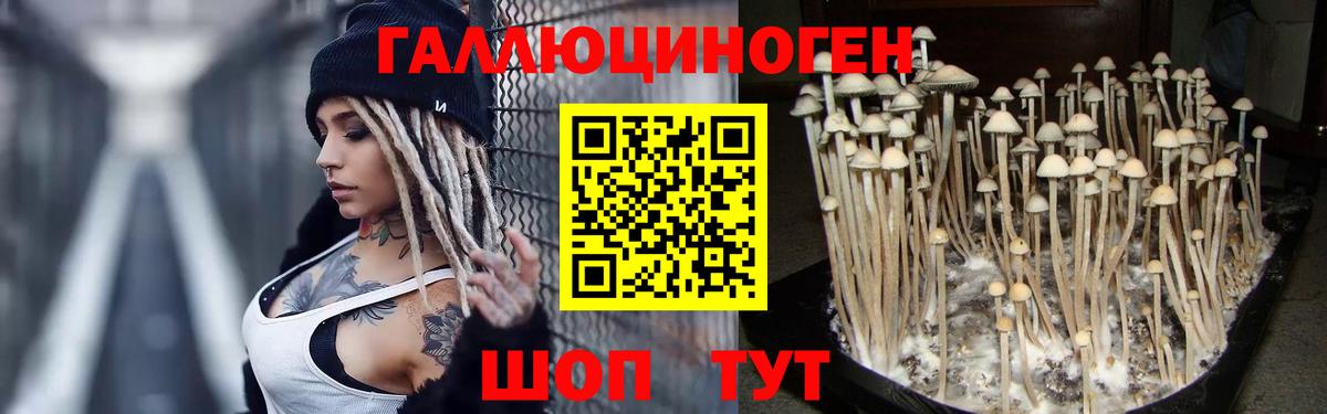 купить закладку  Галлюциногенные грибы Magic Shrooms  Вход с VPN  Заводоуковск 
